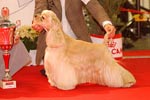 Paris Dog Show, le 8 et le 9 janvier 2011